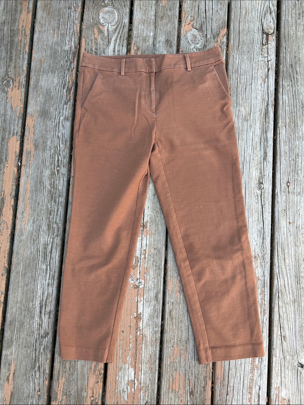 LOFT Women's Cropped Pants in Rust